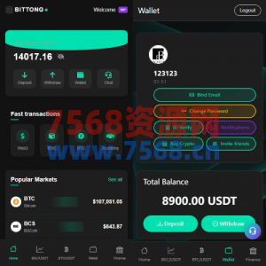 海外交易所系统/秒合约/杠杆交易/投资/K线控制