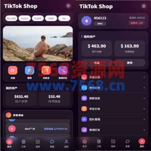 新版TIKTOK抢单刷单/打针派单/连单卡单/JAVA刷单