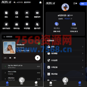 海外音乐抢单刷单系统/卡单/重置订单/前端VUE